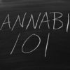 cannabis content