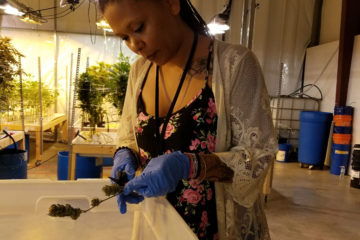budtender
