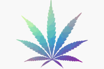 cannabis