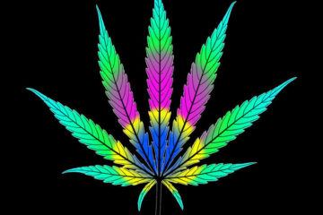 cannabis news