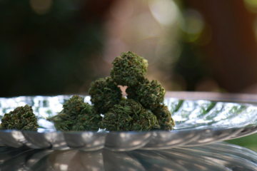 cannabis news