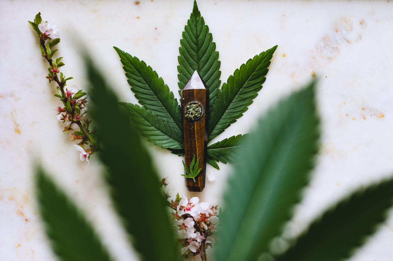 home grow