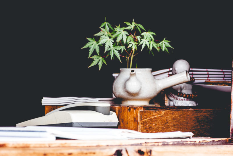 cannabis industry trends